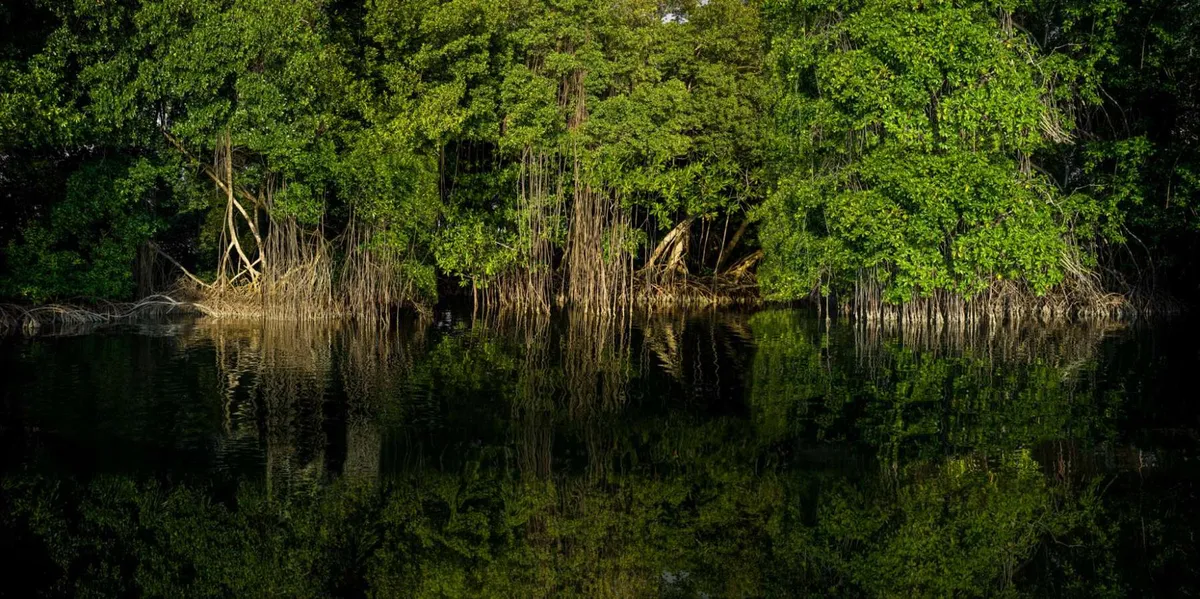 Arrancan los Jueves fotográficos en la Fototeca Nacional