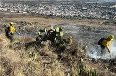 Incendio en Mineral de la Reforma