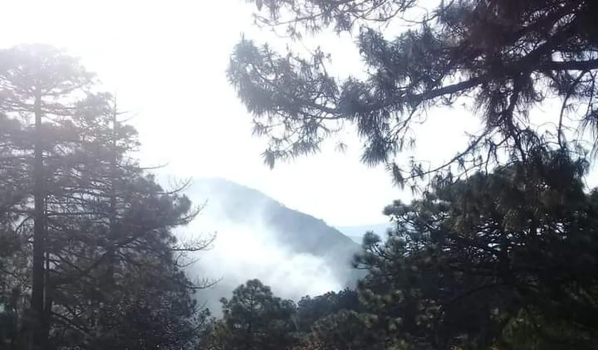 Incendio en Parque Nacional Los Mármoles, permanece en proceso de control