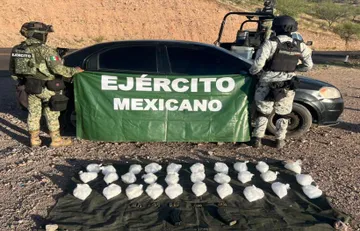 Operación Frontera Norte: más de 4 mil detenidos y 38 toneladas de narcóticos aseguradas