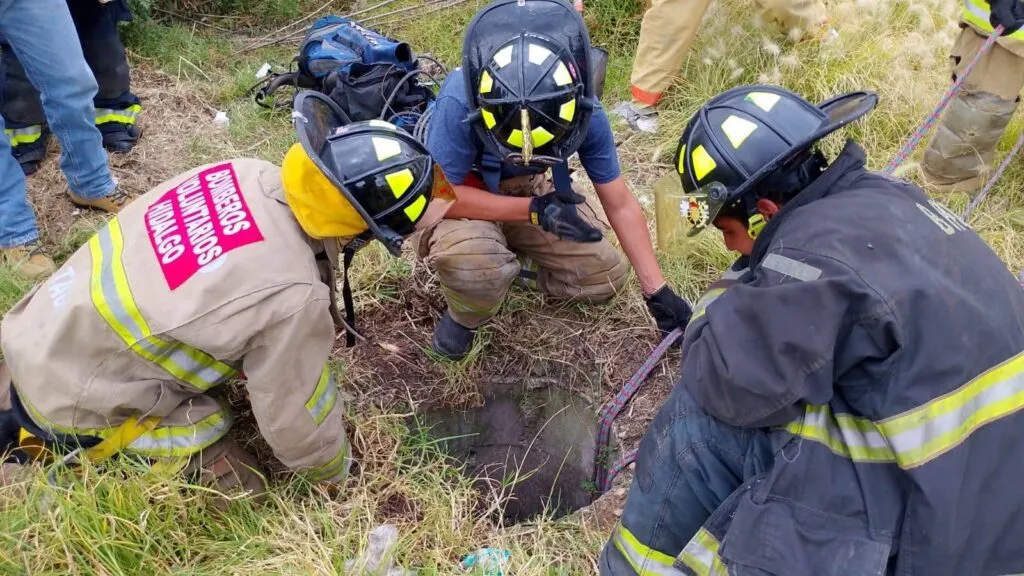 Bomberas rescatan con vida a perrito atrapado en un drenaje en Pachuca