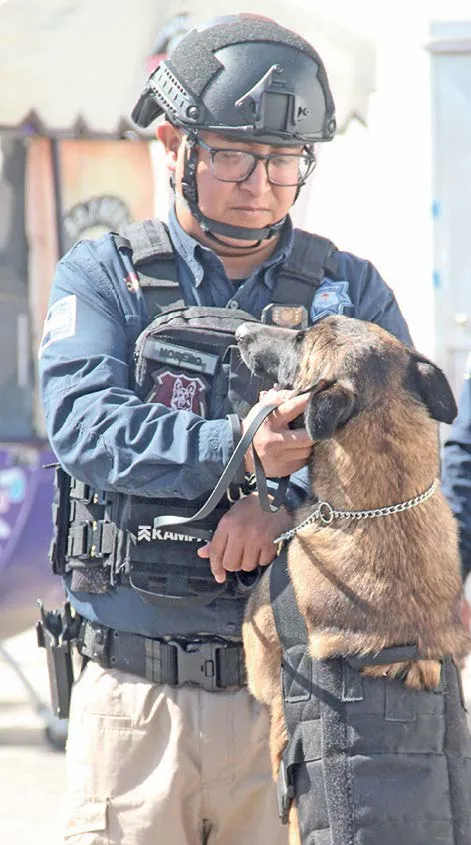 Rapidez y agudeza en tareas de seguridad