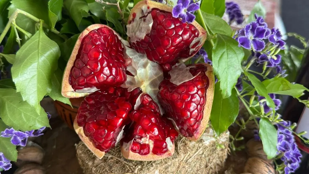 ¡Imperdible! Llega el Festival de la Nuez y la Granada 2025 en Tasquillo