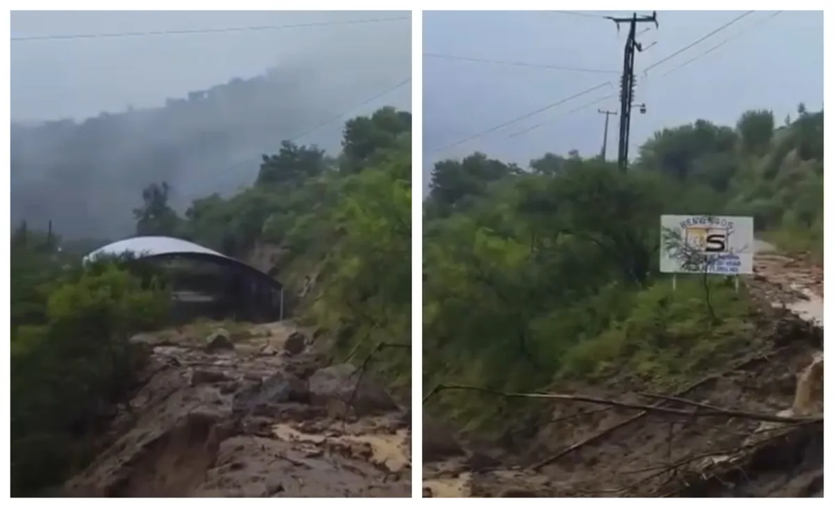 docentes atrapados en Nicolas Flores