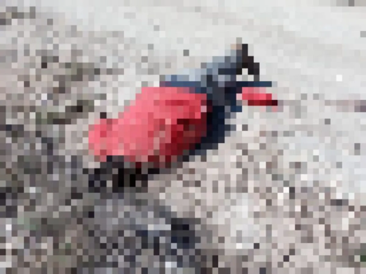 Hallan cadáver en camino de terracería en Tula