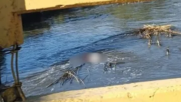 Cuerpos de emergencia tras hallazgo de cadáver en canal de Doxey, Tlaxcoapan