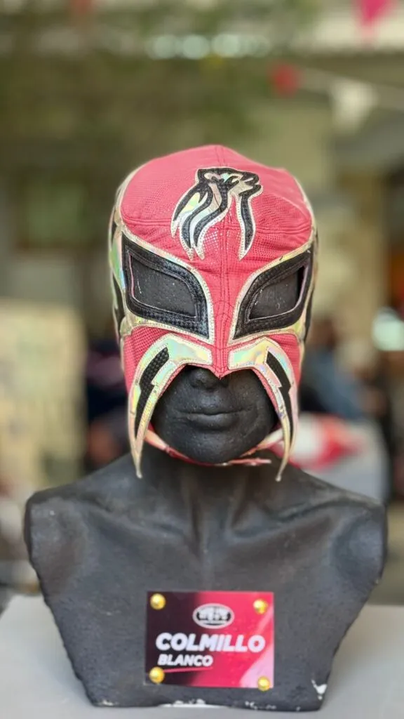 Pachuca aprueba reglamento para lucha libre y boxeo profesional