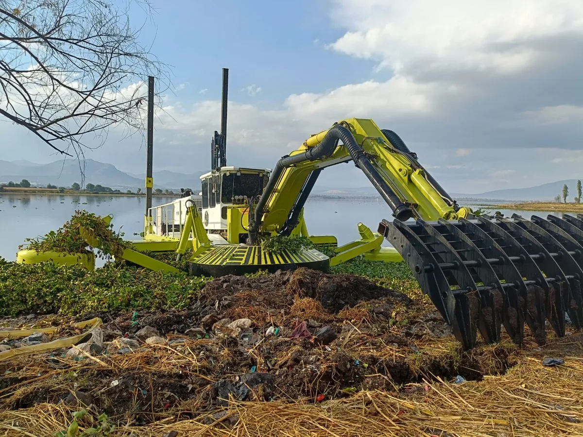 Semarnat pretende utilizar lirio de la presa Endhó como composta