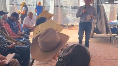 Equipos fotovoltaicos