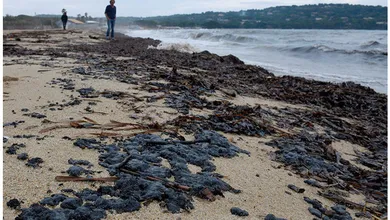 El daño sigue apareciendo: playas contaminadas, fauna afectada y un problema que no se ha ido.