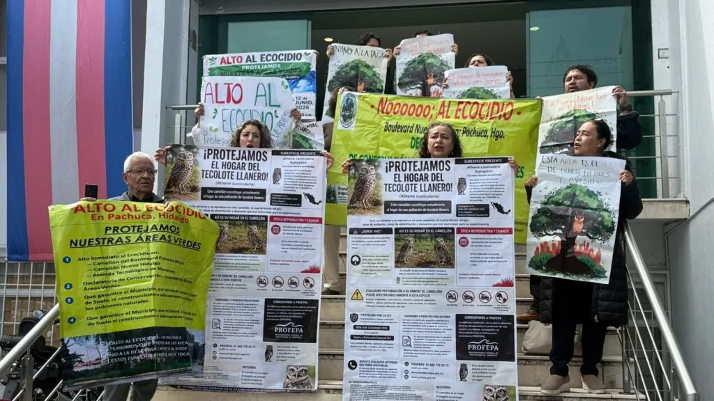 ¡Árboles y fauna silvestre en riesgo! Crece la preocupación por obras en entorno del CASP