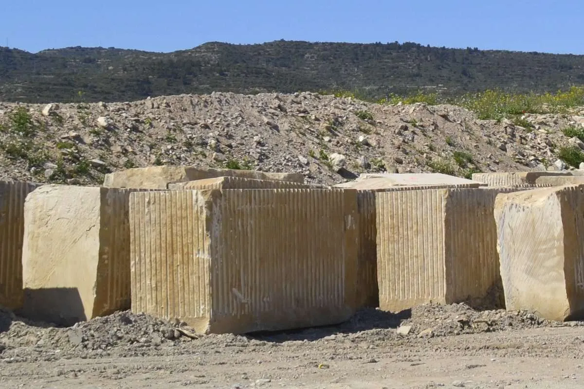 Gran Expo de la Cantera 2024: ¿Cuándo y dónde se realizará? Te decimos