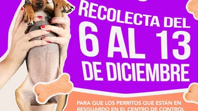 Colecta para centro de control caníno comunitario