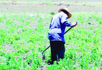 Iniciará pago del seguro de gastos catastróficos en Hidalgo