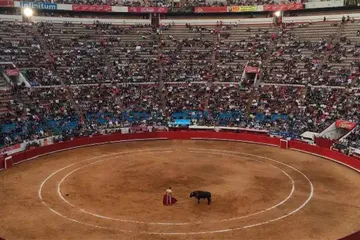 Votarán iniciativa para prohibir corridas de toros en Hidalgo sin consulta ni opiniones técnicas