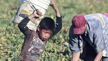 Hidalgo reduce el trabajo infantil: Secretaría del Trabajo estatal