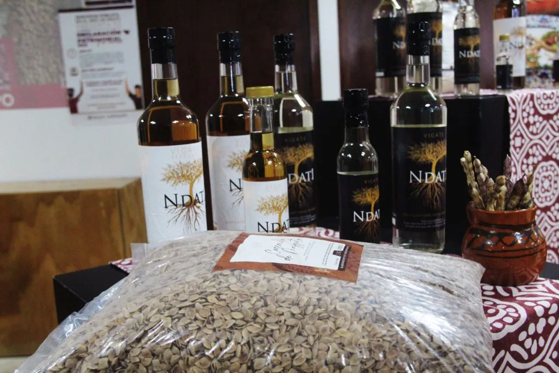 Santiago de Anaya: ¿ya conoces el destilado de Mezquite? Te decimos de qué se trata