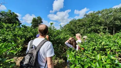 Entre tradición, naturaleza y gastronomía, estas experiencias podrían poner a Hidalgo en el mapa nacional del turismo.