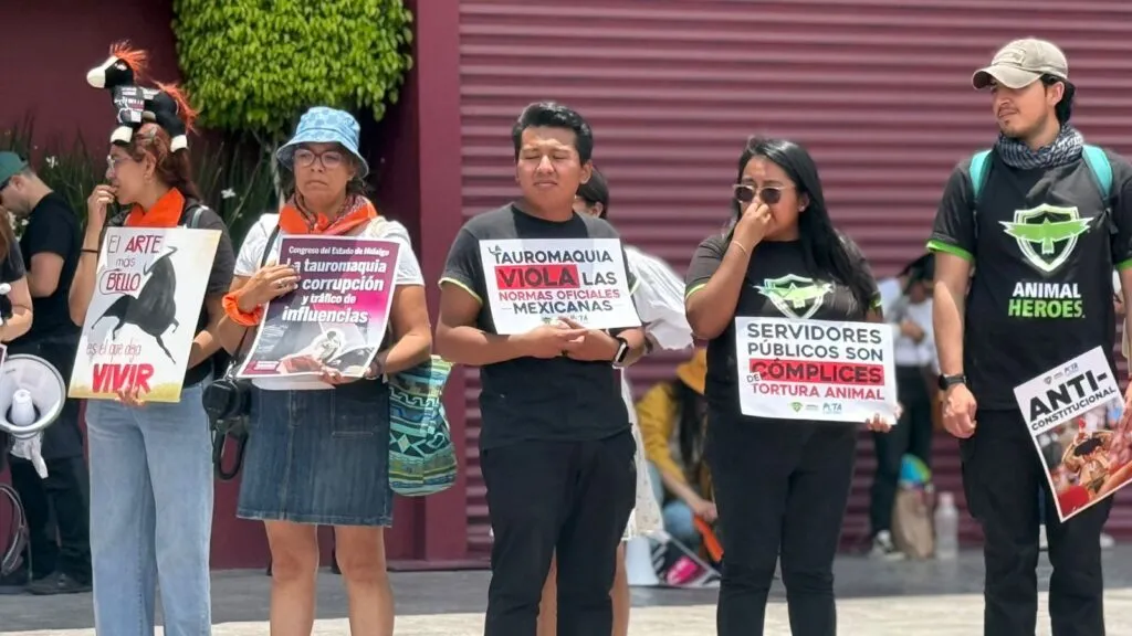 Activistas van al Tribunal de Hidalgo para frenar la consulta popular sobre tauromaquia
