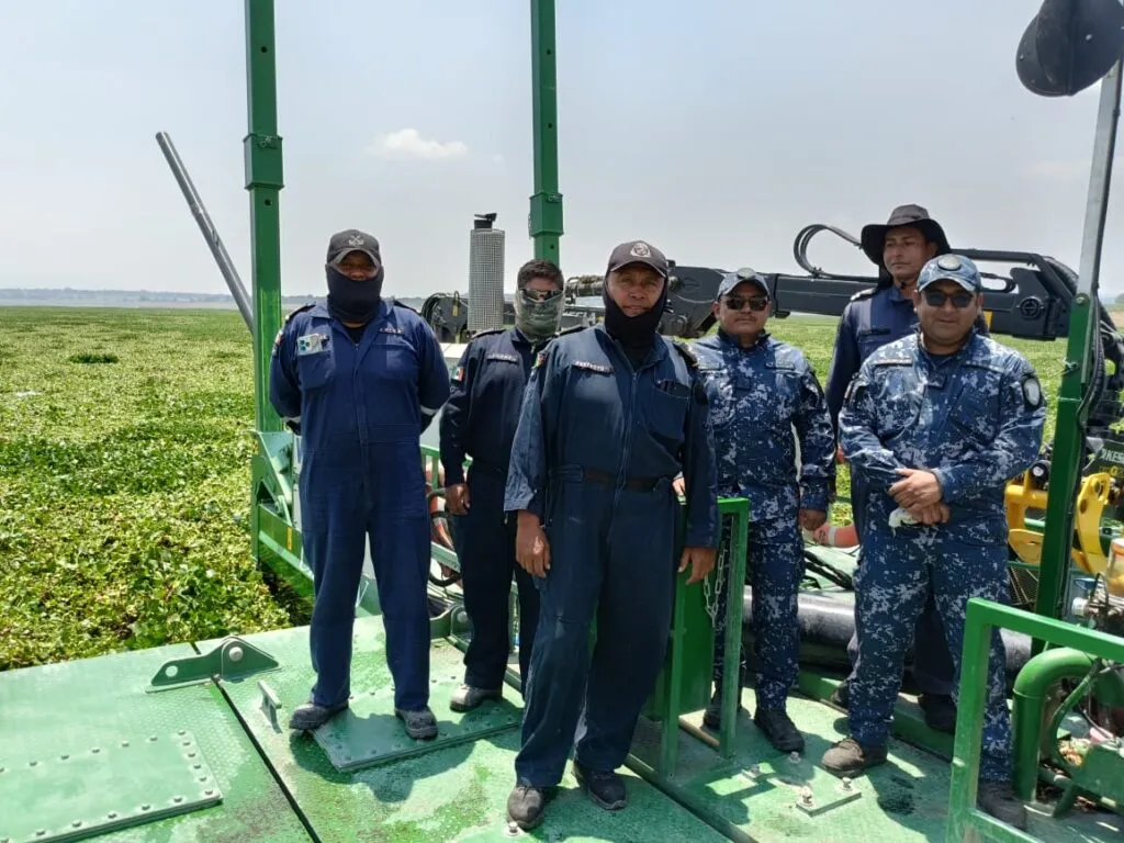 Avanza limpieza en la presa Endhó: más de 12 mil toneladas de lirio extraídas