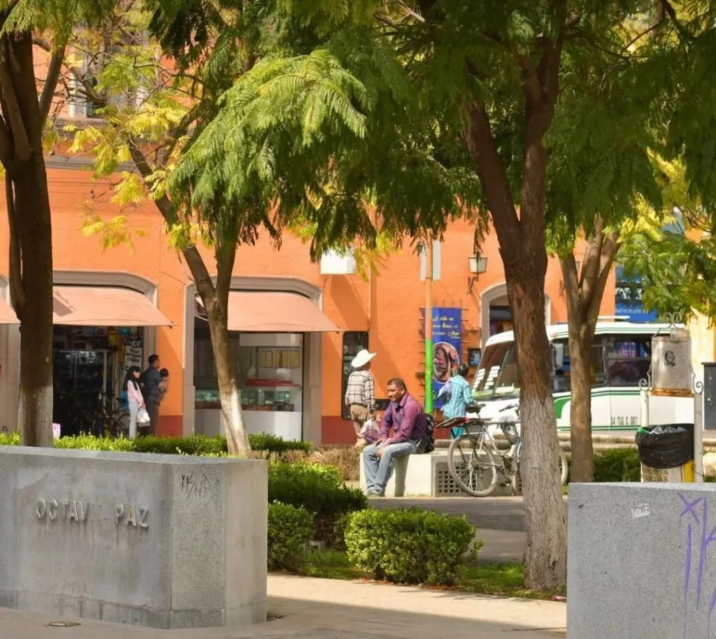 Tulancingo estrena proyecto de turismo con guías locales