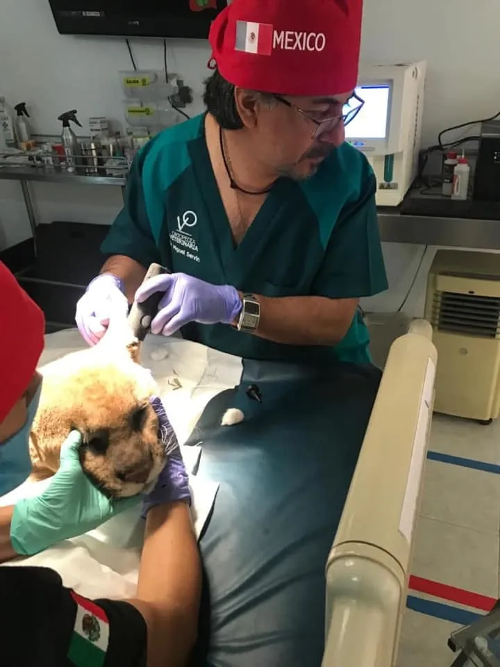 Ángel Servin, el veterinarioque fundó un foro teatral