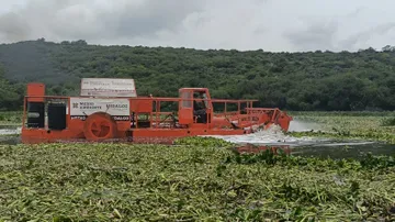 Semarnath pide apoyo a Tula para cubrir diésel de trituradoras de lirio en presa Endhó