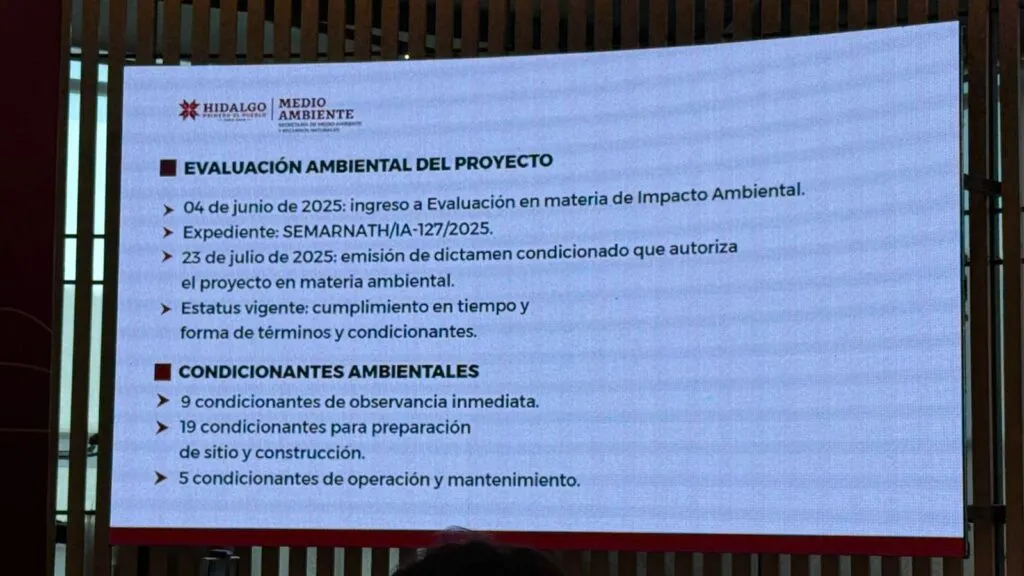 Pachuca: árboles marcados en Fomento Minero no serán derribados, asegura Semarnath