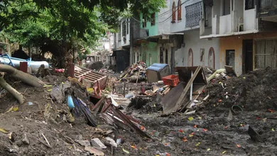 Trabajos de rehabilitación avanzan en Cardonal tras las afectaciones por vaguada registradas durante las lluvias de 2024.