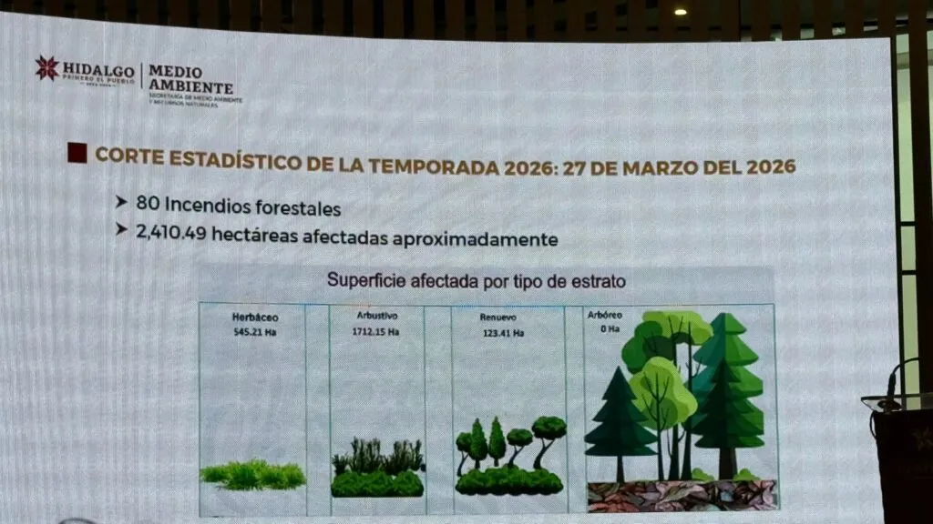 Hidalgo, segundo lugar nacional en incendios forestales en 2026