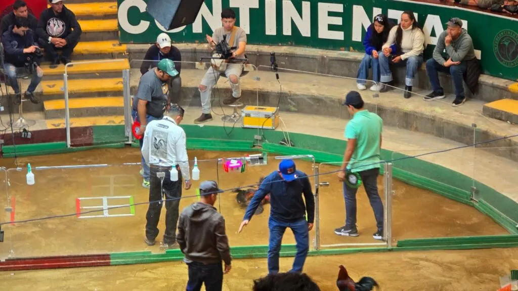 Mega Derby 2025: horarios, costos y todo lo que debes saber del evento