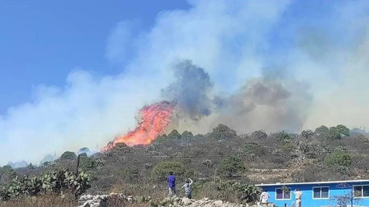 Se registra incendio forestal en cerro de Zimapán
