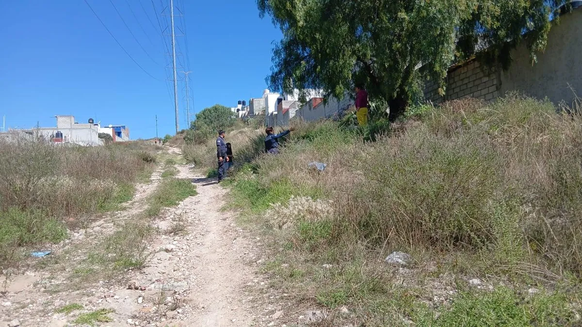 Policía de Mineral de la Reforma