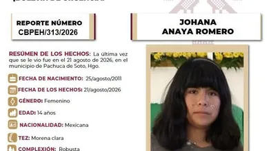Ficha de Búsqueda Johana Anaya Romero