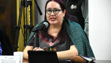 Diputada Tania Meza Escorza