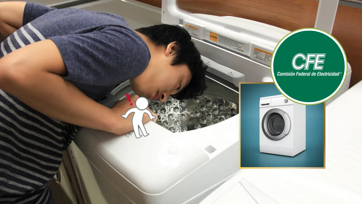 Conoce los requisitos CFE y renueva tus electrodomésticos y accede al programa ASI para cambiar tu lavadora o refrigerador con pagos a plazos.