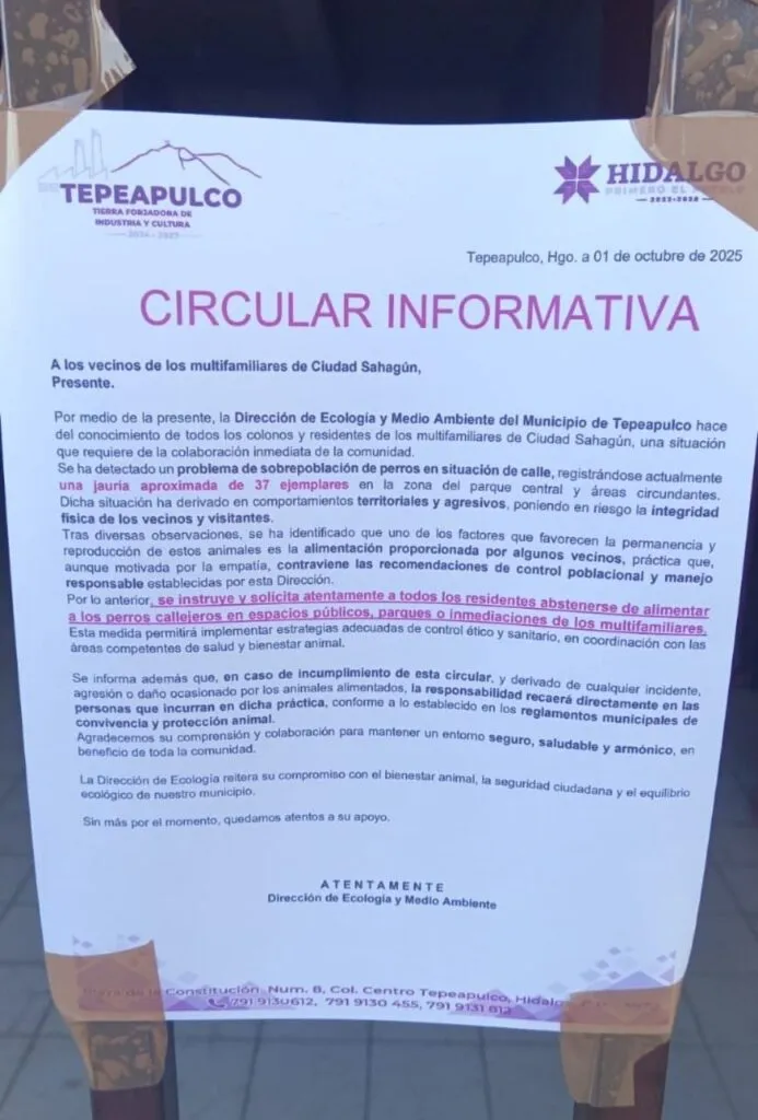 Prohíben alimentar a perros callejeros en este municipio de Hidalgo