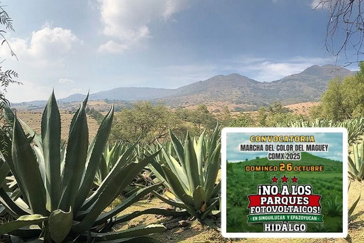 marcha contra parques fotovoltaicos en la cdmx