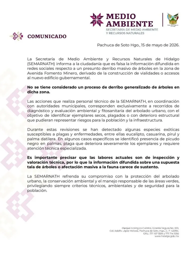Pachuca: desmiente Semarnath tala masiva de árboles; ciudadanos convocan a manifestación