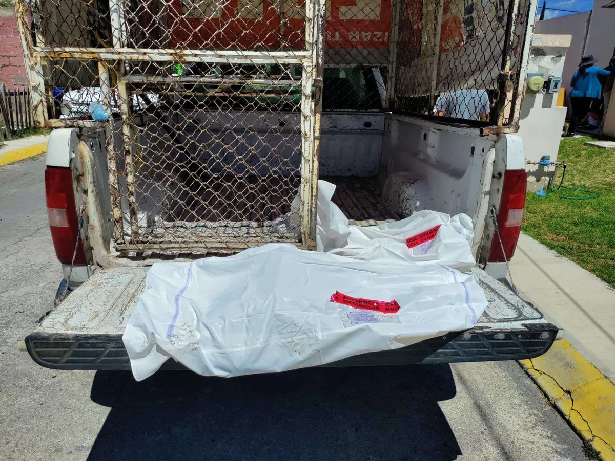 Macabro hallazgo en Tizayuca: Rescatan perros sin vida durante un cateo