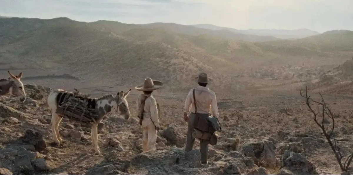 Festival de Morelia “sigue apostando por el cine mexicano de calidad”: Daniela Michel