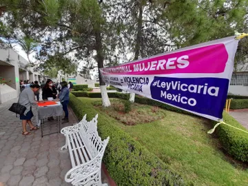 Legisladores aprobaron al vapor violencia vicaría, denuncian activistas