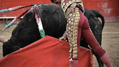 Ernesto Javier Calita