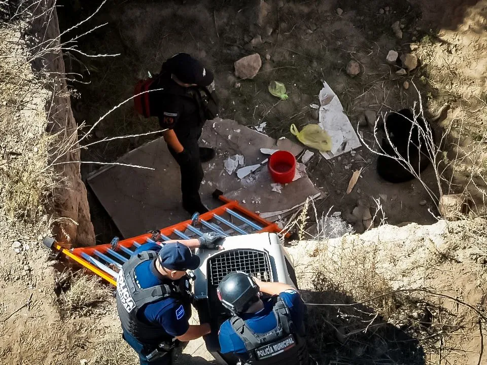 ¡Lo lograron! Con ayuda de drones rescatan a perro en Hidalgo