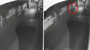 Pachuca: multan a trabajador municipal que tiró basura en la calle | VIDEO