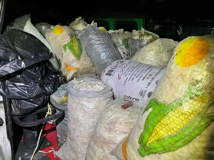 Ixmiquilpan: cae pareja del Edomex por robo de biznagas