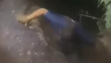 chofer