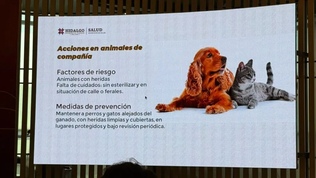Confirman 7 casos de gusano barrenador en humanos en Hidalgo; lanza alerta sanitaria