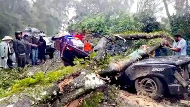 El conductor y su esposa fallecieron, y sus dos hijos quedaron atrapados en los asientos traseros