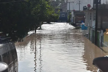 Al menos 3 mil 600 hectáreas de cultivos perdidos: Sedagro